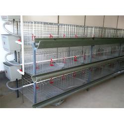 禽翔畜牧 專業(yè)養(yǎng)雞設(shè)備廠家直銷，一站式畜牧機(jī)械解決方案